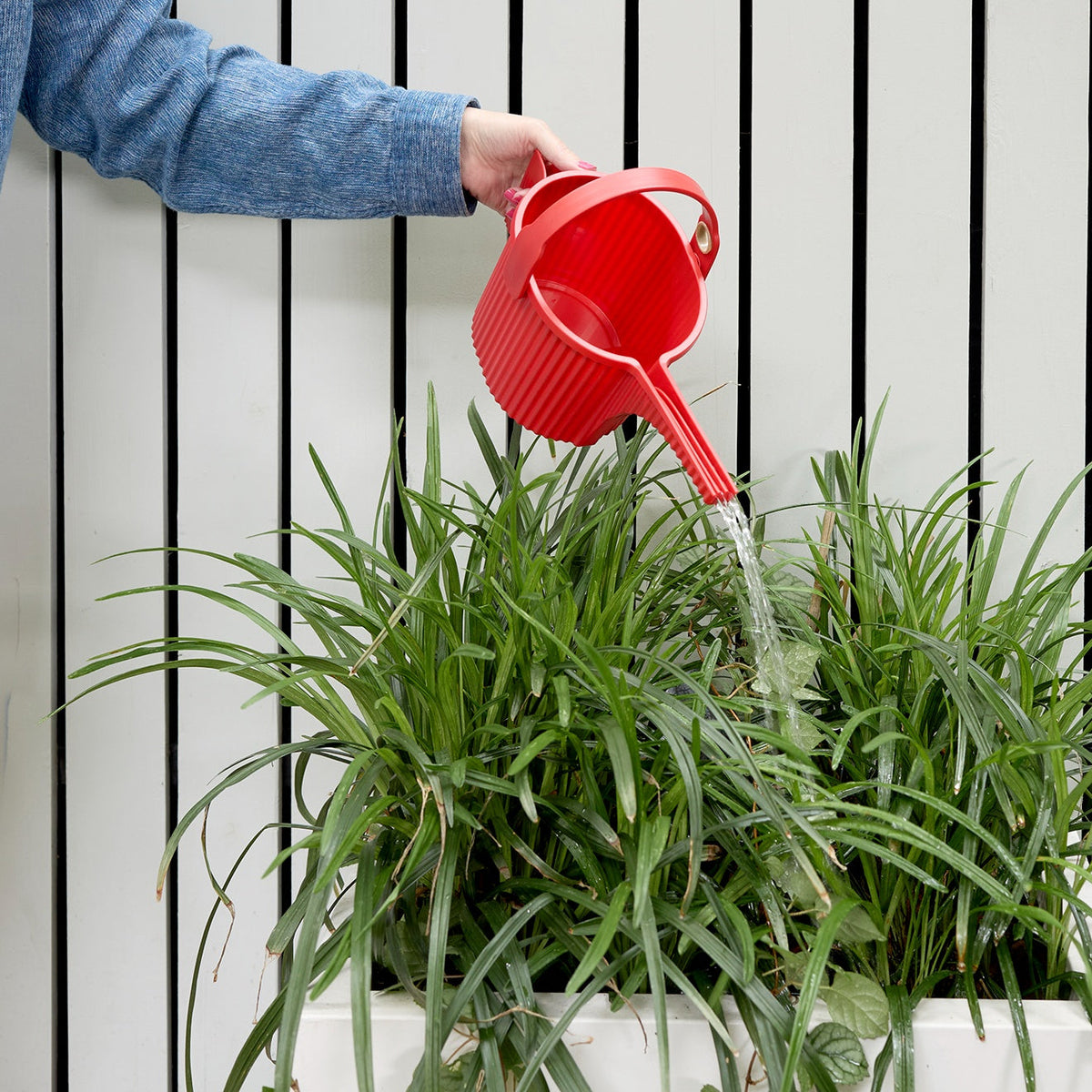 Hachiman Watering Cans - Red