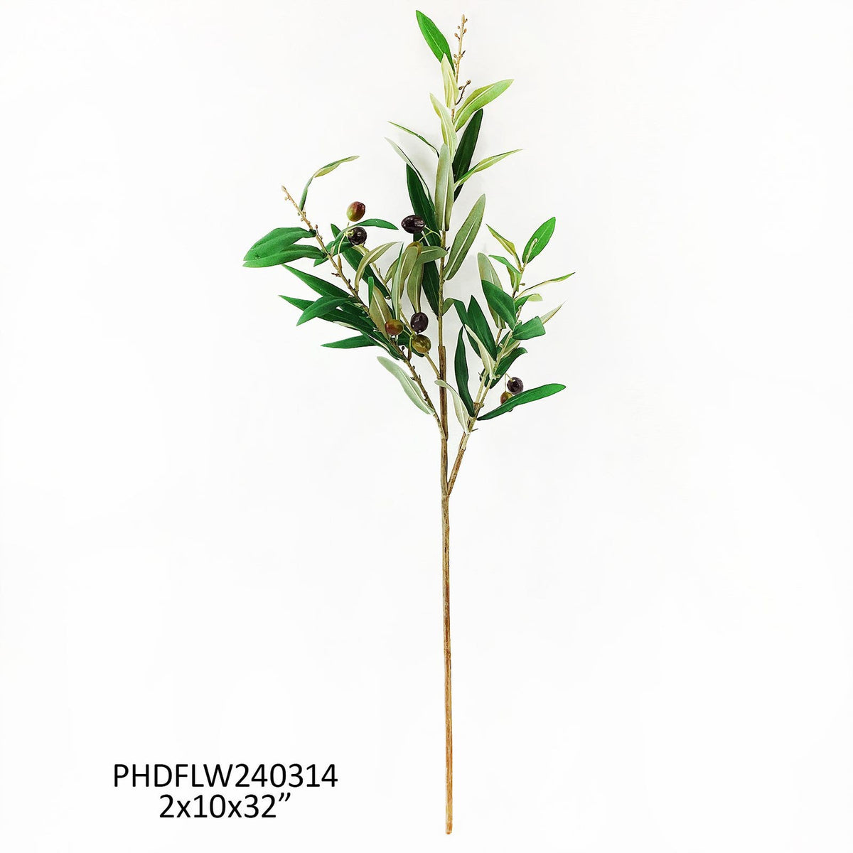 Italian Olive Branch