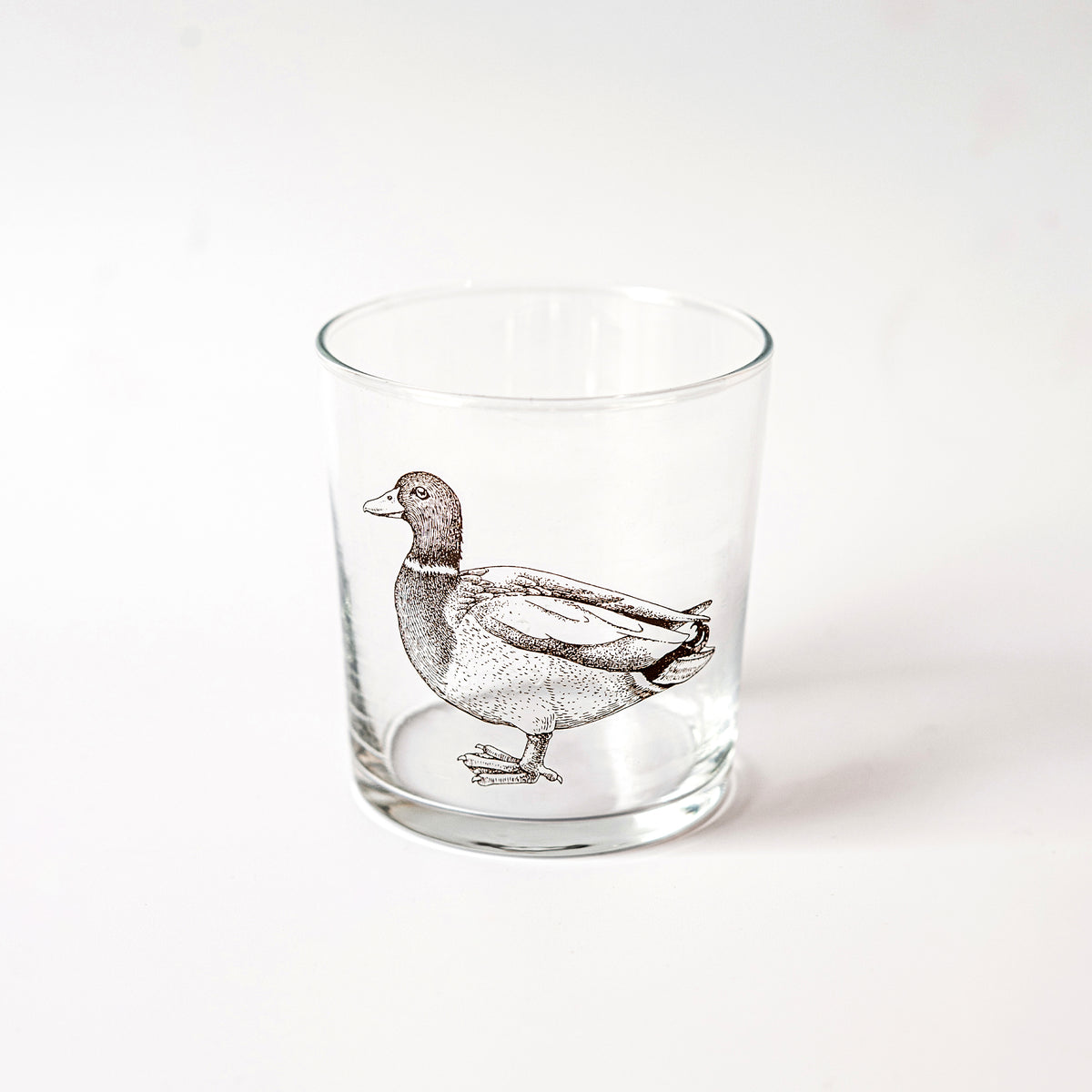 Wildlife Assorted Tumblers - Set of 6