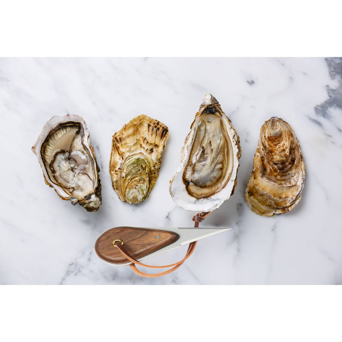 Outset Oyster Shucking Set, Oyster Knife and Guard, 8" x 6"