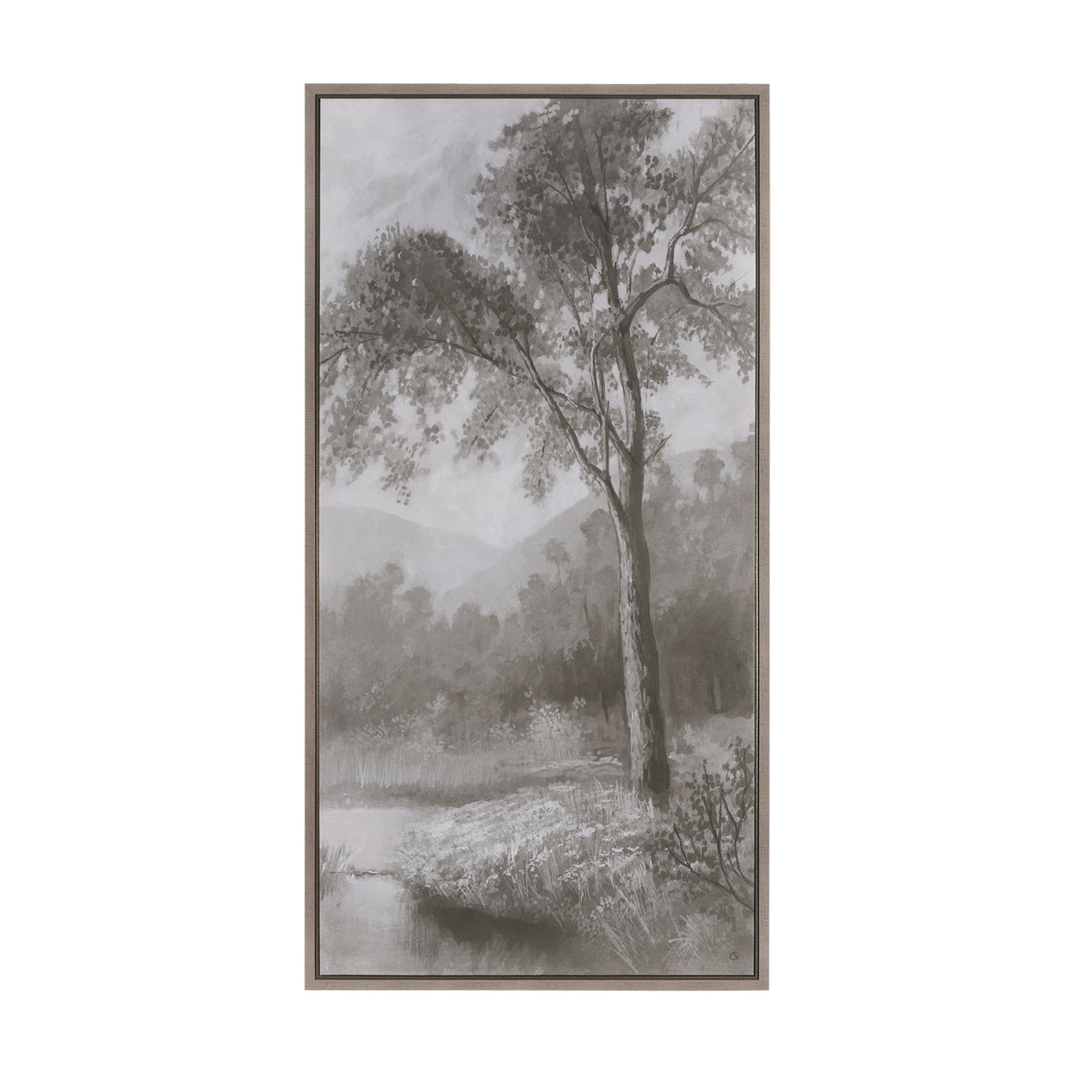 Forest Morning II
