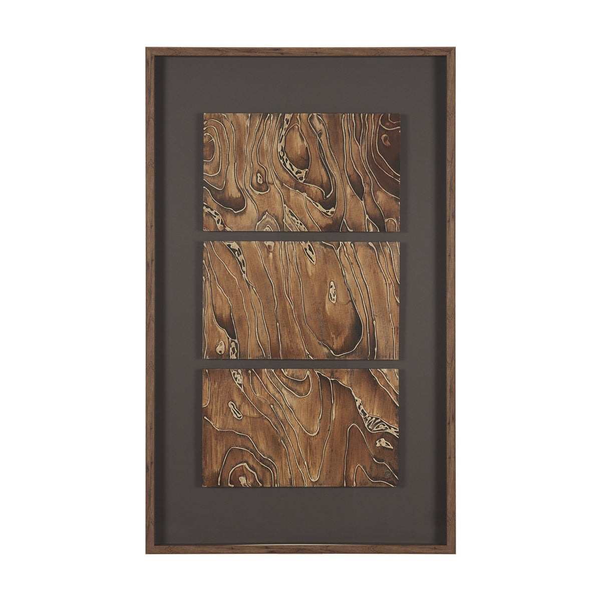 Forest Topography