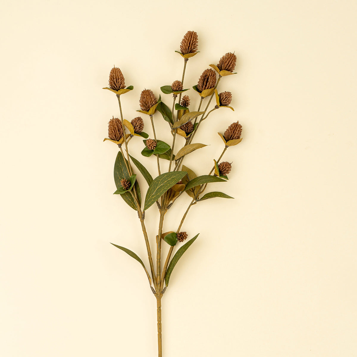 Globe Amaranth Spray