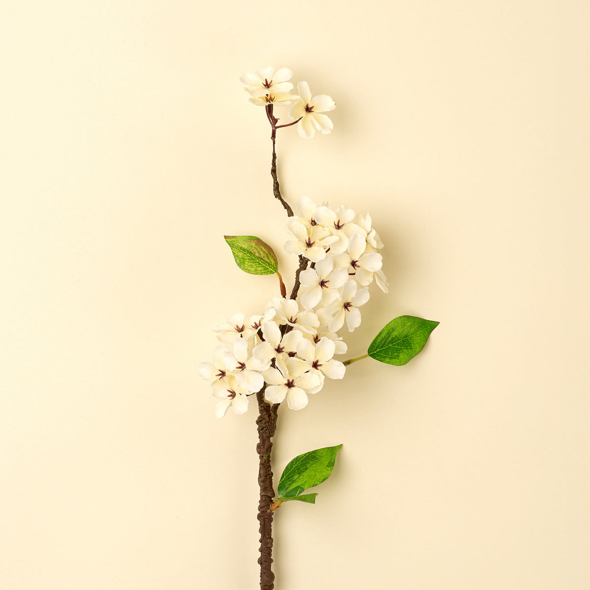 Pear Blossom Branch S